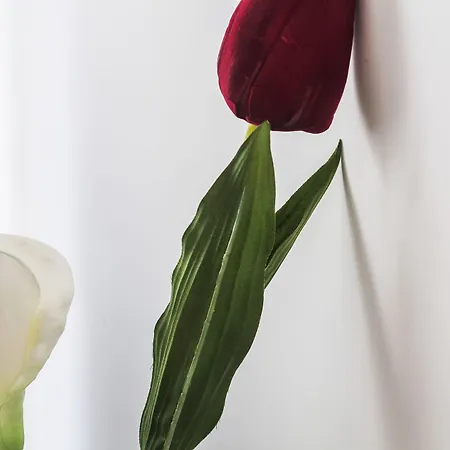 Cdc By Casa Do Conto アパート ポルト