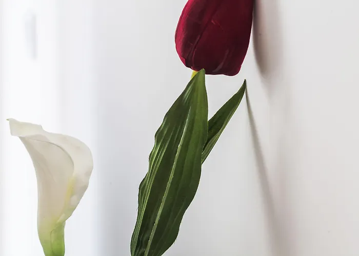 Cdc By Casa Do Conto Lejlighed Porto